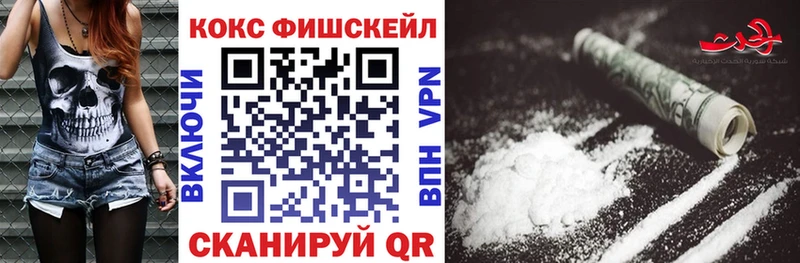 COCAIN Fish Scale  Купить  Кологрив 