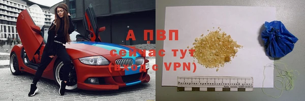 сатива Каменск-Шахтинский