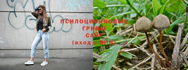 прущие крисы Каменногорск