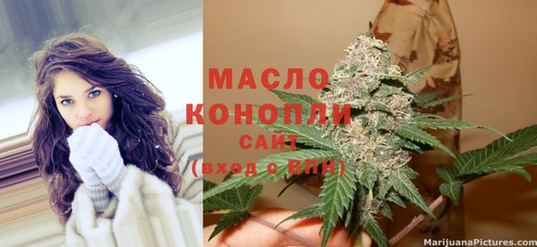 сатива Каменск-Шахтинский