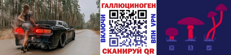 Купить где  Кологрив  Галлюциногенные грибы прущие грибы 